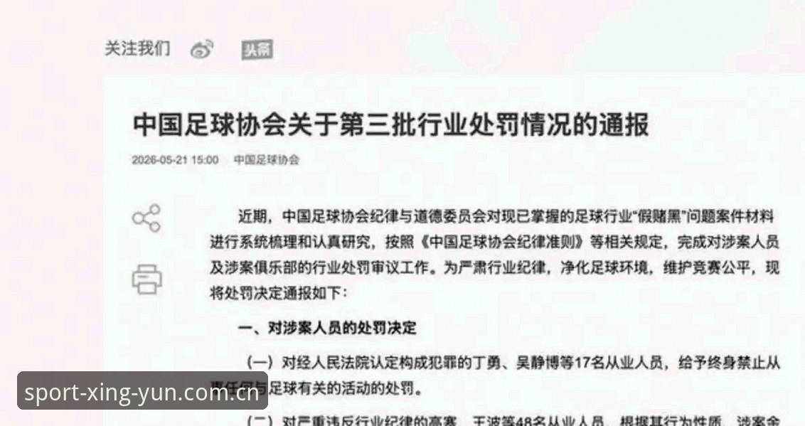 足协第三批禁足名单最新动态：17人终身禁足，48人遭行业重罚